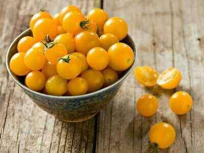 25 HONEYBEE CHERRY TOMATO SEEDS