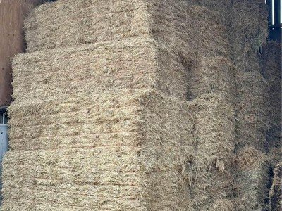 Small bales of hay
