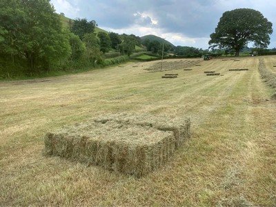 Small Hay Bales