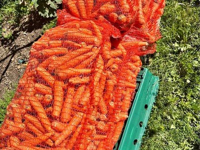 Carrot nets back in stock