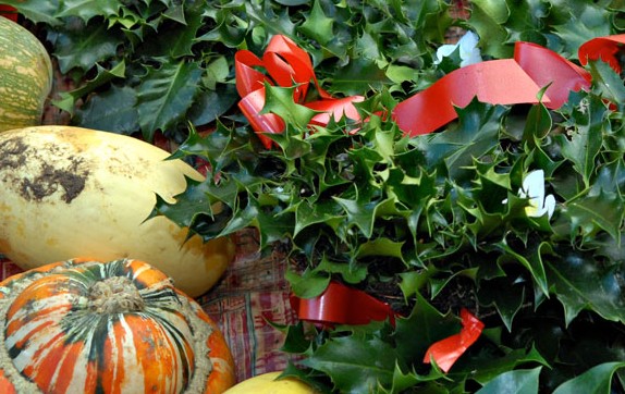 Beaconsfield Farmers Market